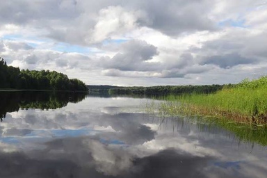 Харагеничи тихвинский район фото деревня